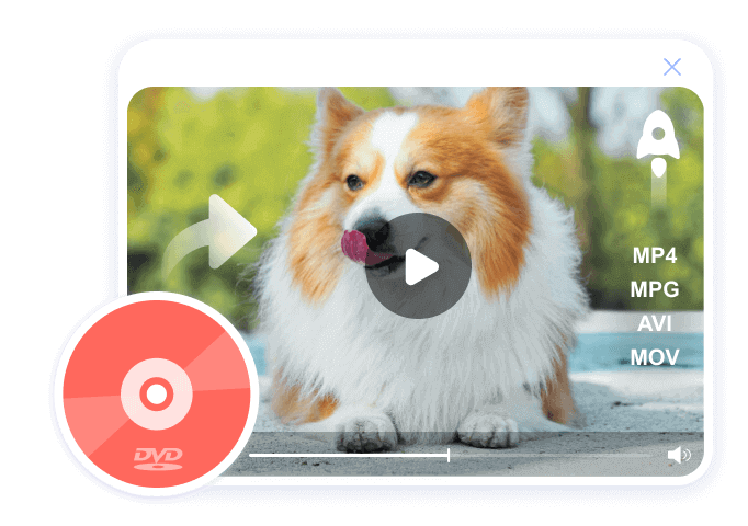 DVD Ripper
